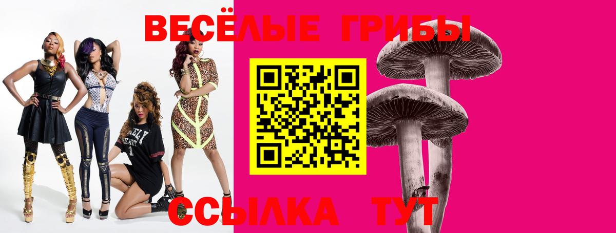 Галлюциногенные грибы GOLDEN TEACHER  Псилоцибиновые грибы Psilocybine cubensis  Вход с VPN  Балашов 